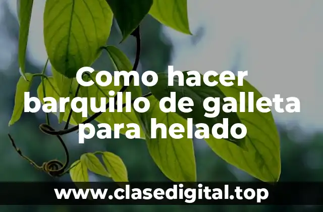 ¿Qué son los barquillos de galleta para helado?
