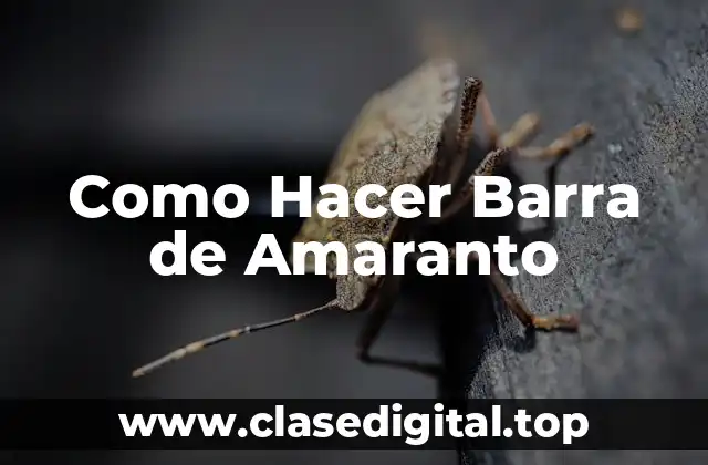Como Hacer Barra de Amaranto