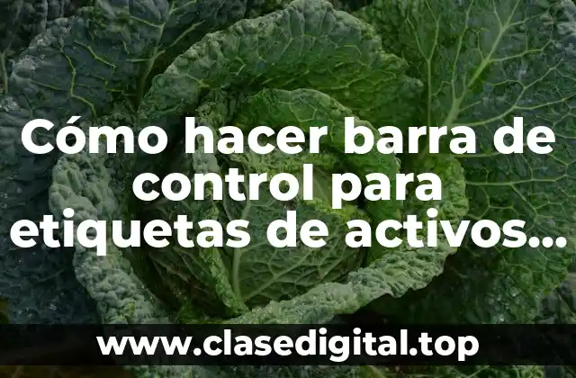 Cómo hacer barra de control para etiquetas de activos fijos