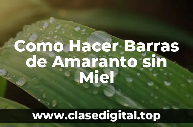 Como Hacer Barras de Amaranto sin Miel
