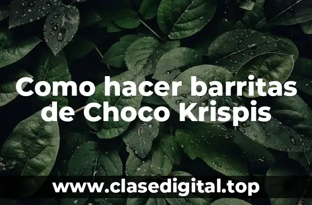 Barritas de Choco Krispis: ¿Qué son y para qué sirven?