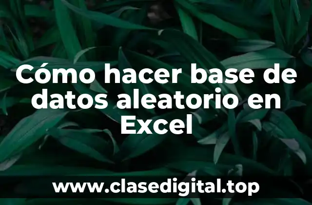 Cómo hacer base de datos aleatorio en Excel