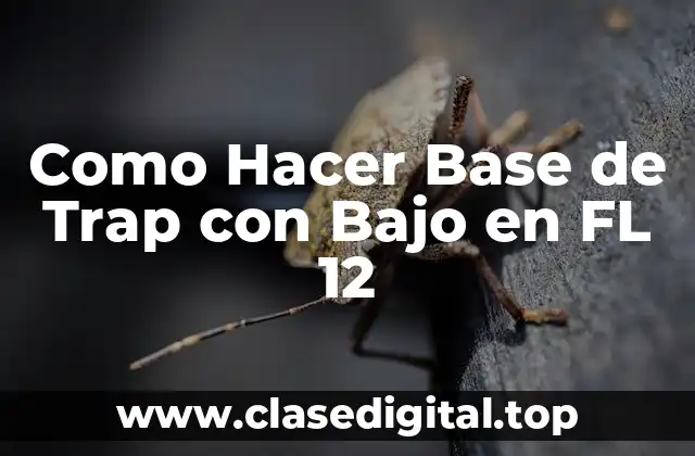 ¿Qué es una Base de Trap con Bajo en FL 12?