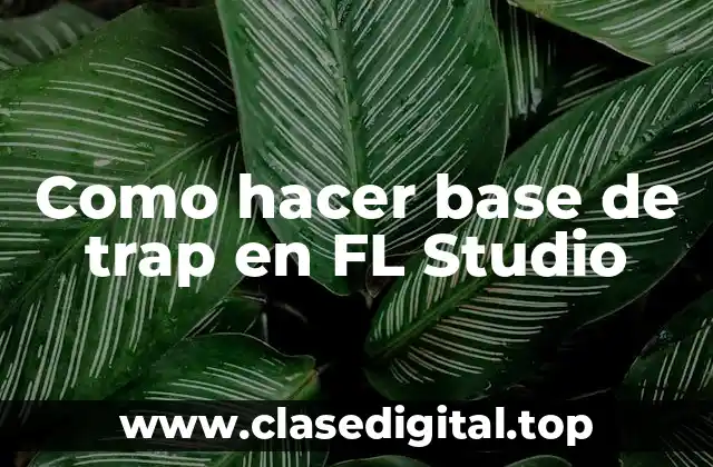 ¿Qué es una base de trap y para qué sirve?