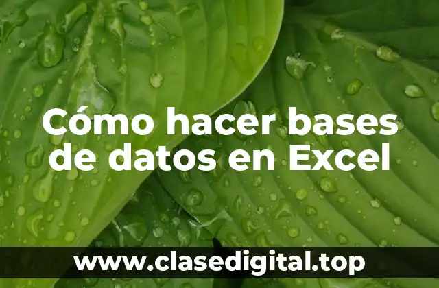 Cómo hacer bases de datos en Excel