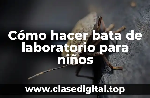 Cómo hacer bata de laboratorio para niños