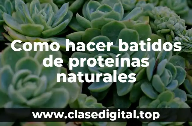 Como hacer batidos de proteínas naturales