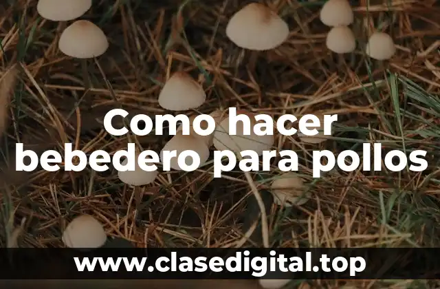 Como hacer bebedero para pollos