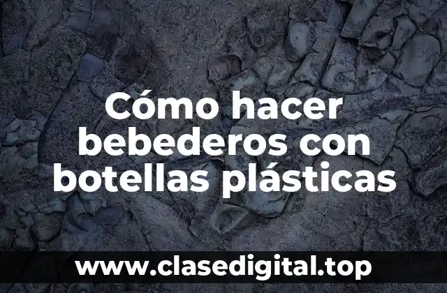 Cómo hacer bebederos con botellas plásticas