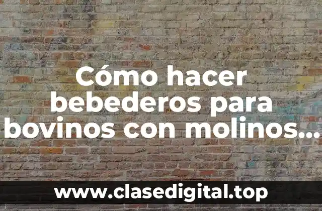 Cómo hacer bebederos para bovinos con molinos de viento