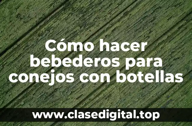 Cómo hacer bebederos para conejos con botellas
