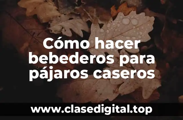 Cómo hacer bebederos para pájaros caseros
