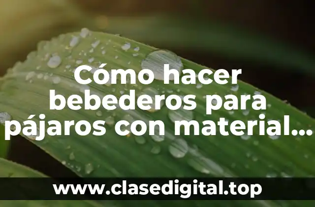 Cómo hacer bebederos para pájaros con material reciclado