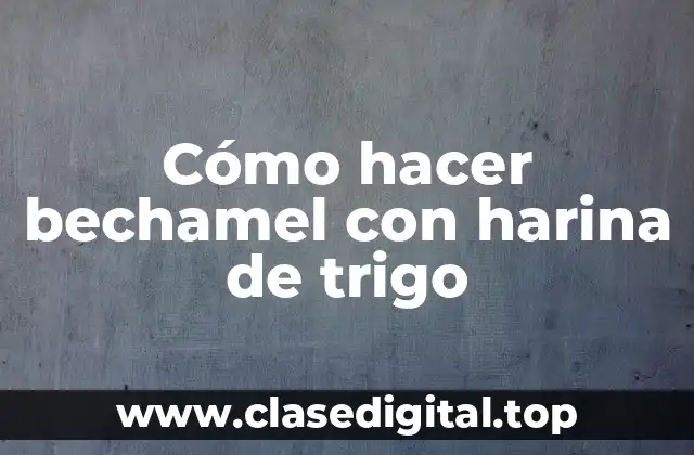 Cómo hacer bechamel con harina de trigo
