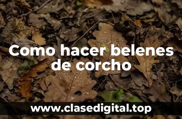 Como hacer belenes de corcho