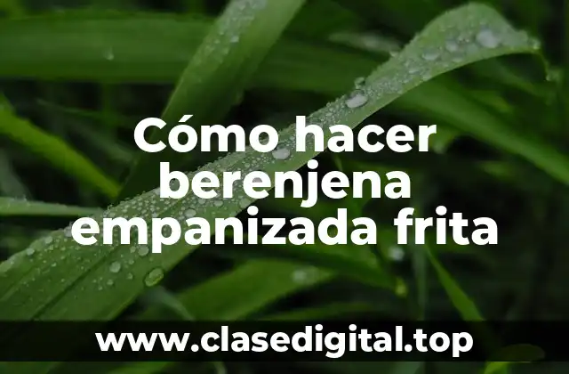 ¿Qué es la berenjena empanizada frita y para qué sirve?