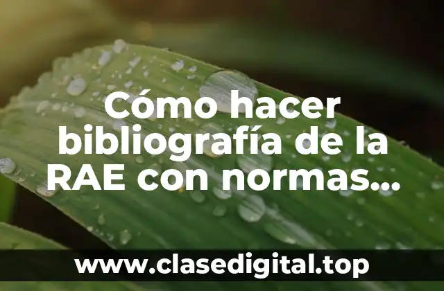 Cómo hacer bibliografía de la RAE con normas APA