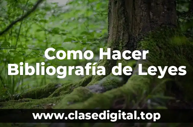 Como Hacer Bibliografía de Leyes