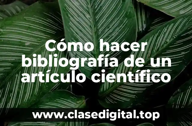 Cómo hacer bibliografía de un artículo científico