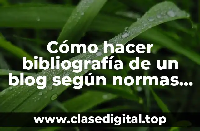 Cómo hacer bibliografía de un blog según normas APA