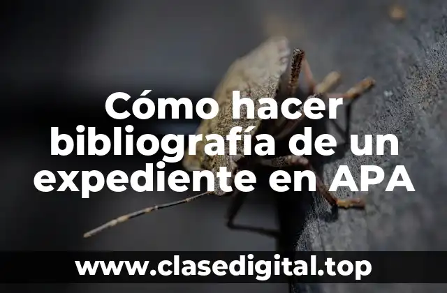 Cómo hacer bibliografía de un expediente en APA