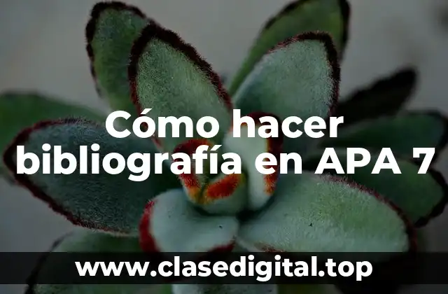 Cómo hacer bibliografía en APA 7