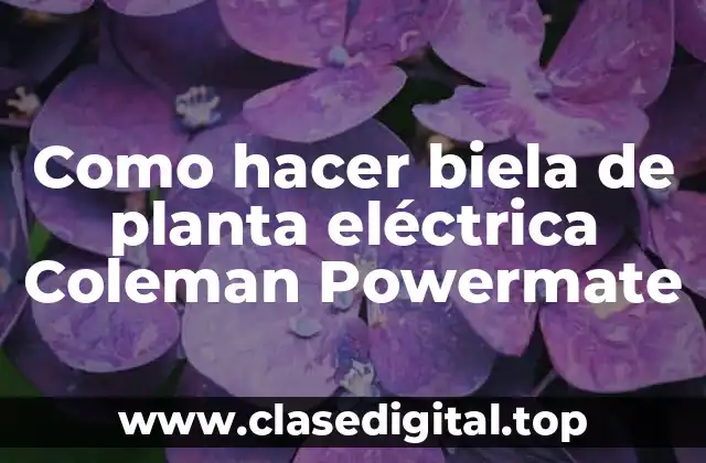 Como hacer biela de planta eléctrica Coleman Powermate