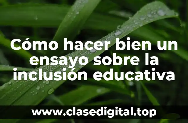 Cómo hacer bien un ensayo sobre la inclusión educativa