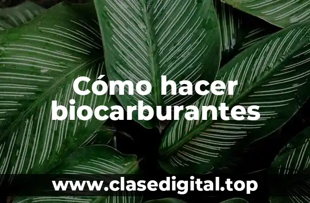 Cómo hacer biocarburantes