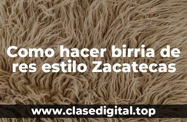 Birria de res estilo Zacatecas: ¿Qué es y para qué sirve?