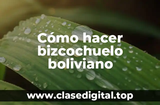¿Qué es el bizcochuelo boliviano?
