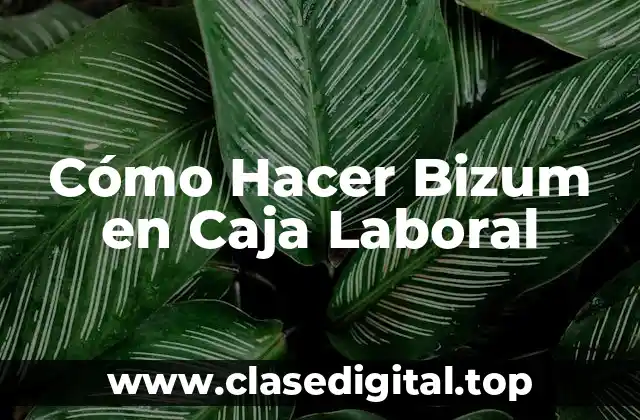 Cómo Hacer Bizum en Caja Laboral