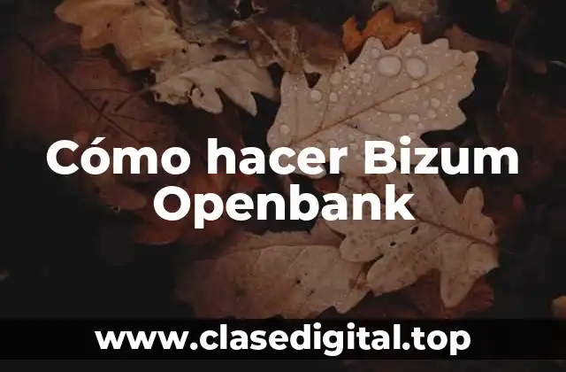 Cómo hacer Bizum Openbank