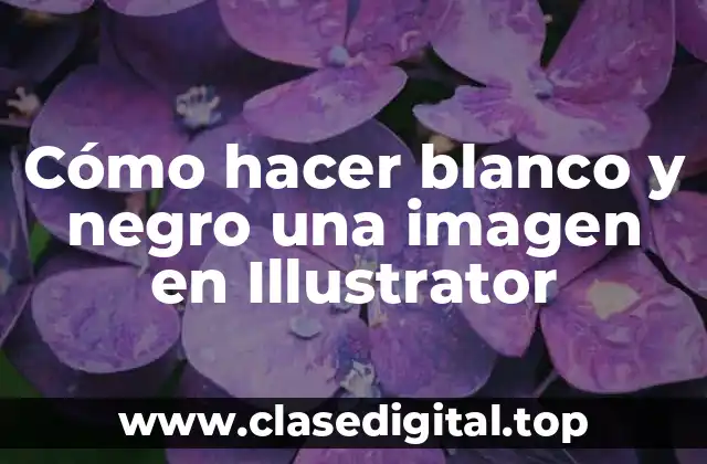 Cómo hacer blanco y negro una imagen en Illustrator