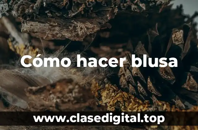 Cómo hacer blusa
