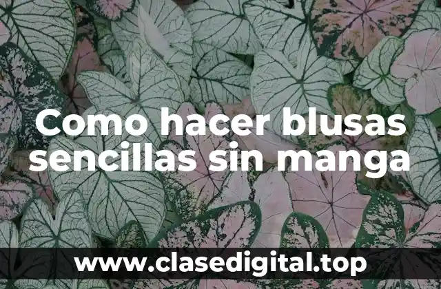 Como hacer blusas sencillas sin manga