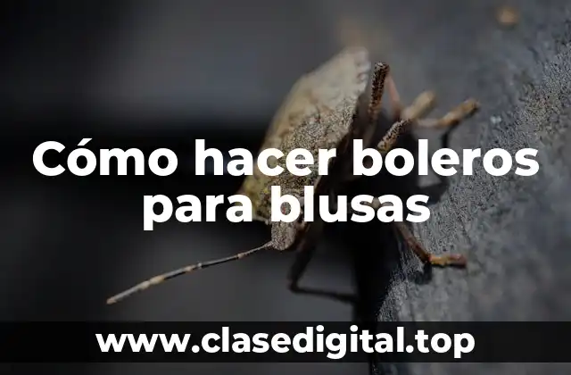 Cómo hacer boleros para blusas