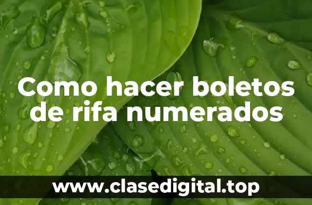Boletos de rifa numerados