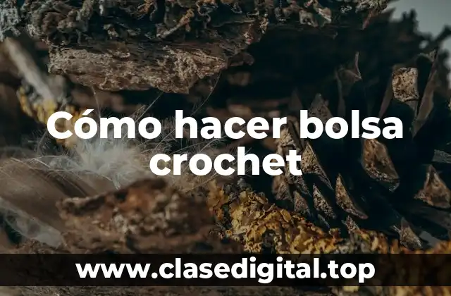 Cómo hacer bolsa crochet