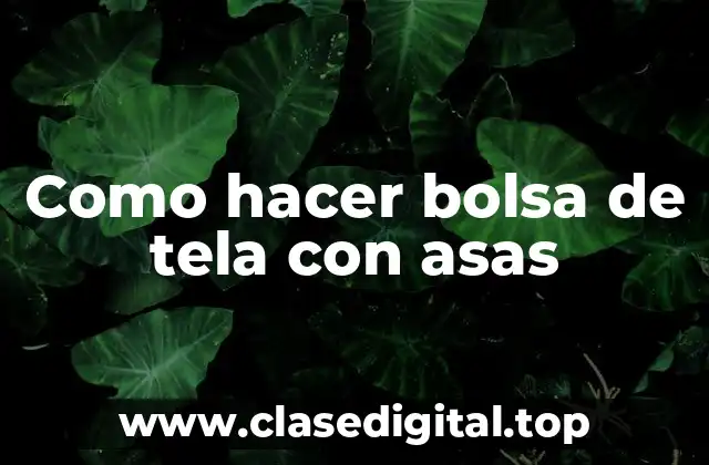 ¿Qué es una bolsa de tela con asas y para qué sirve?