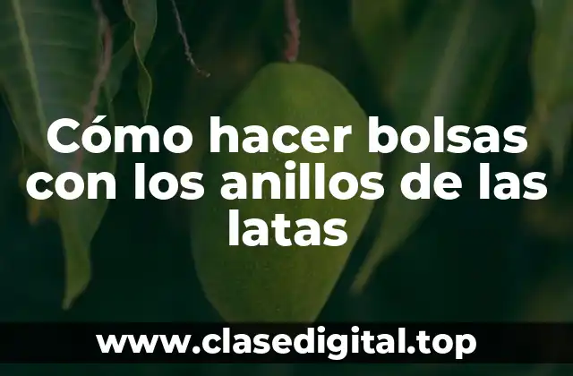 Cómo hacer bolsas con los anillos de las latas