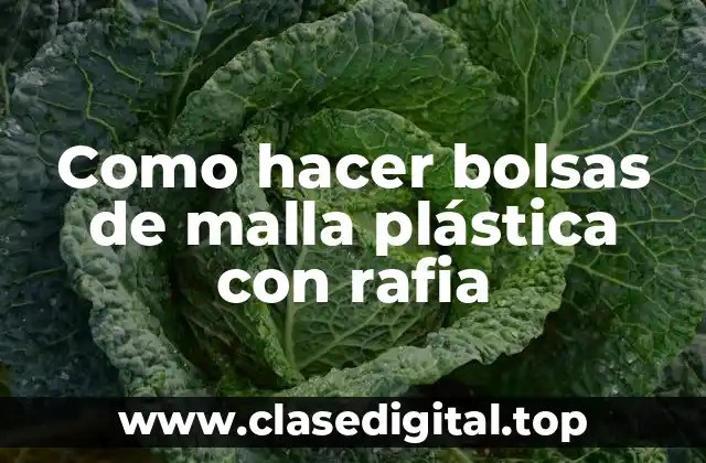 Bolsas de malla plástica con rafia
