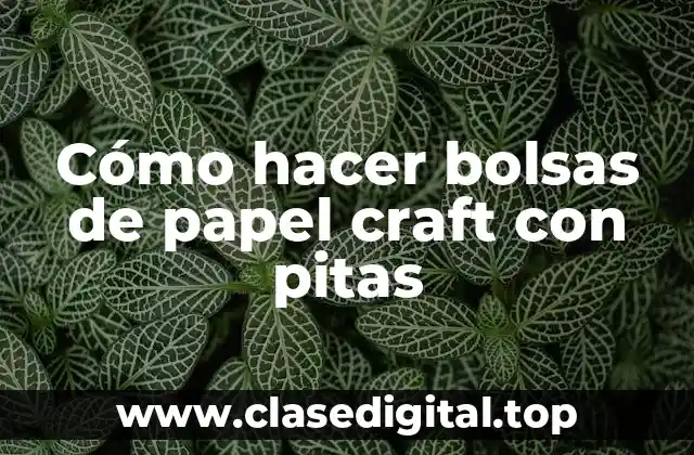Cómo hacer bolsas de papel craft con pitas