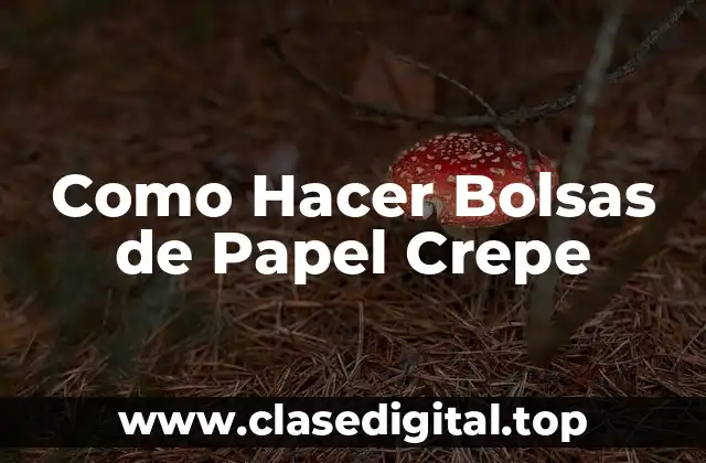 Como Hacer Bolsas de Papel Crepe
