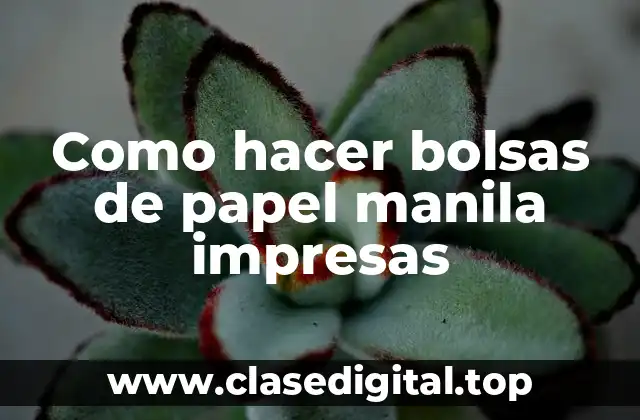 Como hacer bolsas de papel manila impresas