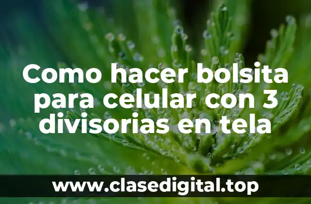 ¿Qué es una bolsita para celular con 3 divisorias en tela?