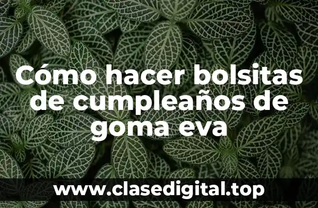 Qué son las bolsitas de cumpleaños de goma eva