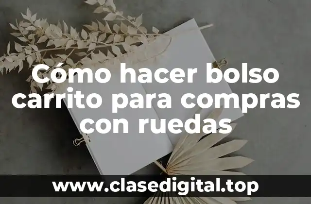 Cómo hacer bolso carrito para compras con ruedas