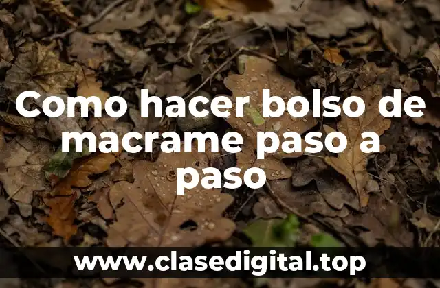 Como hacer bolso de macrame paso a paso