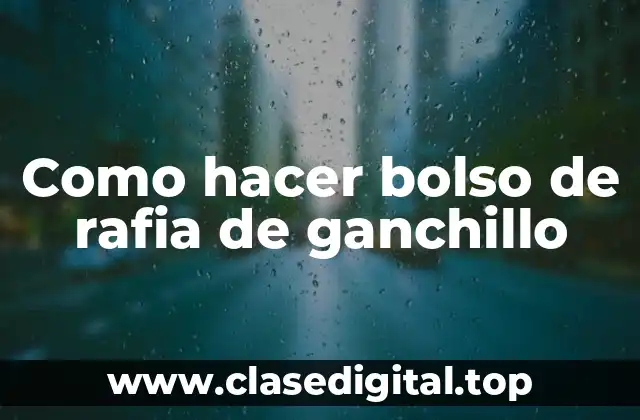 Como hacer bolso de rafia de ganchillo